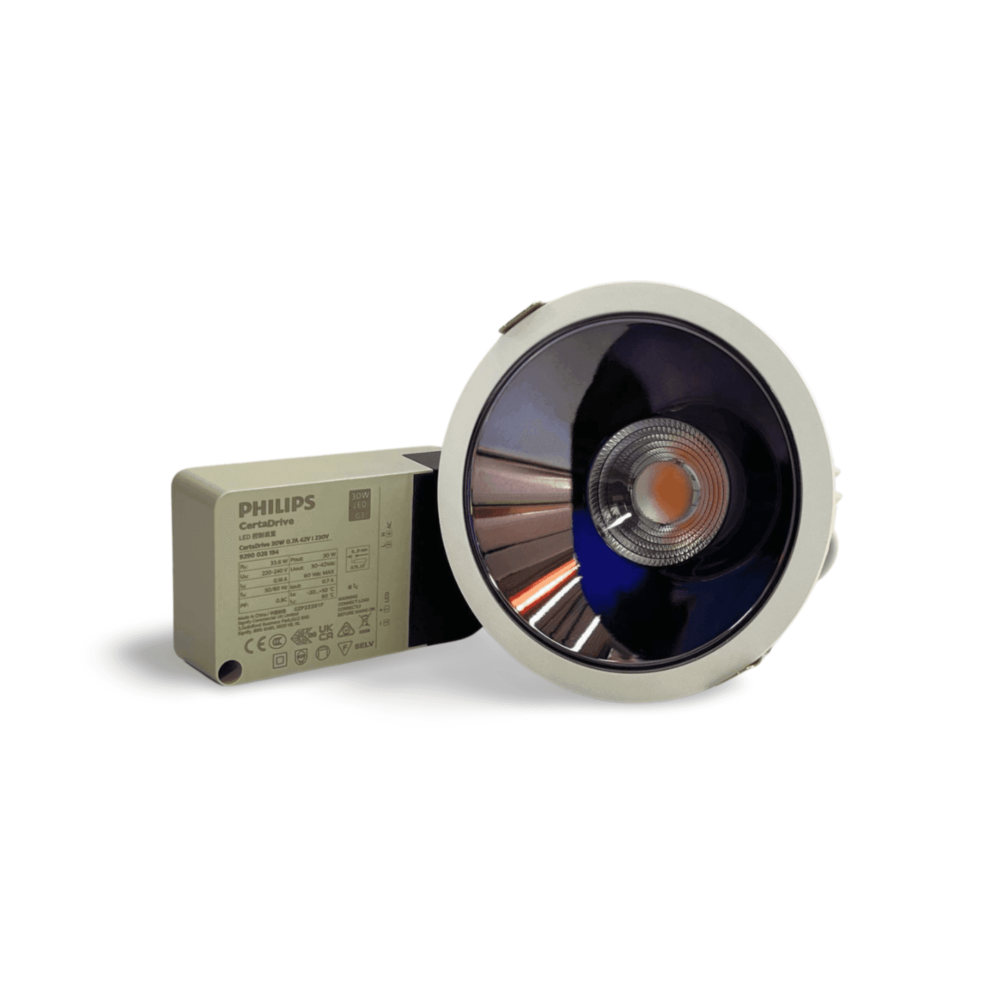 30W DOWNLIGHT